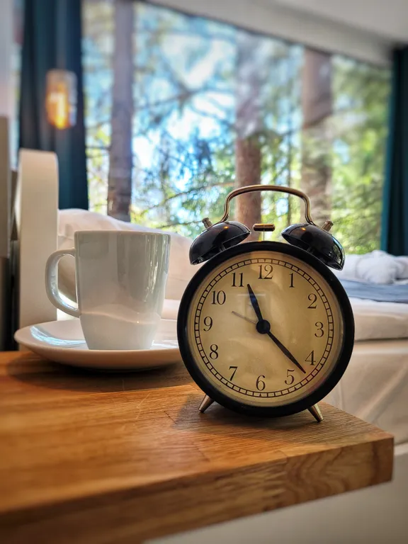 Коттедж комфорт класса с видом на лес