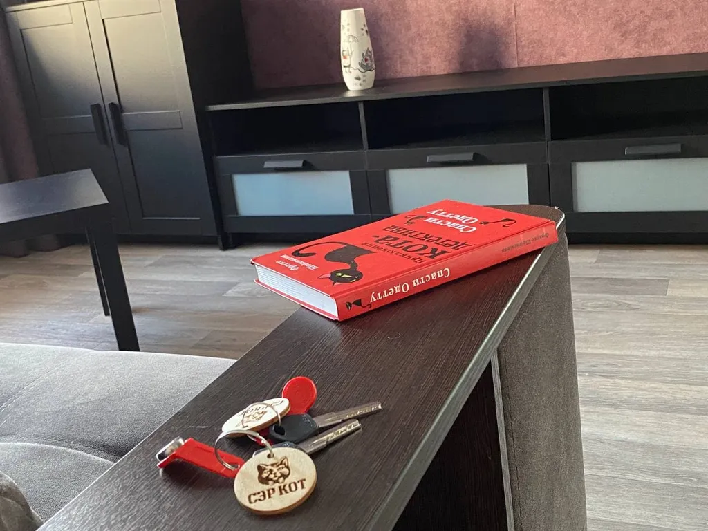 2-комнатные тематические апартаменты Сэр Кот