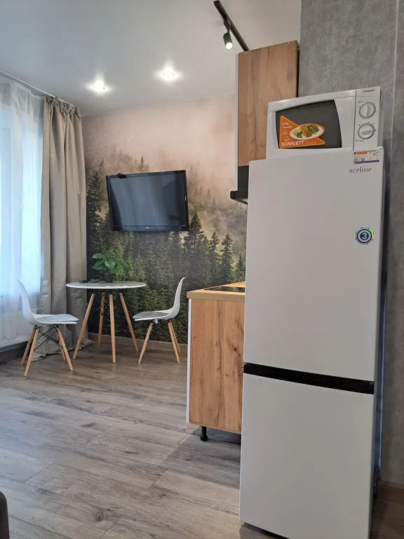 Студия с видом на Северную Двину