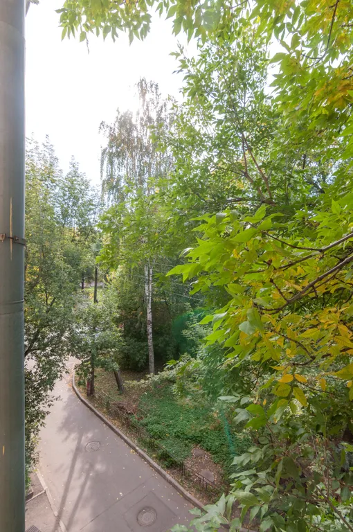 Квартира в самом центре Вологды