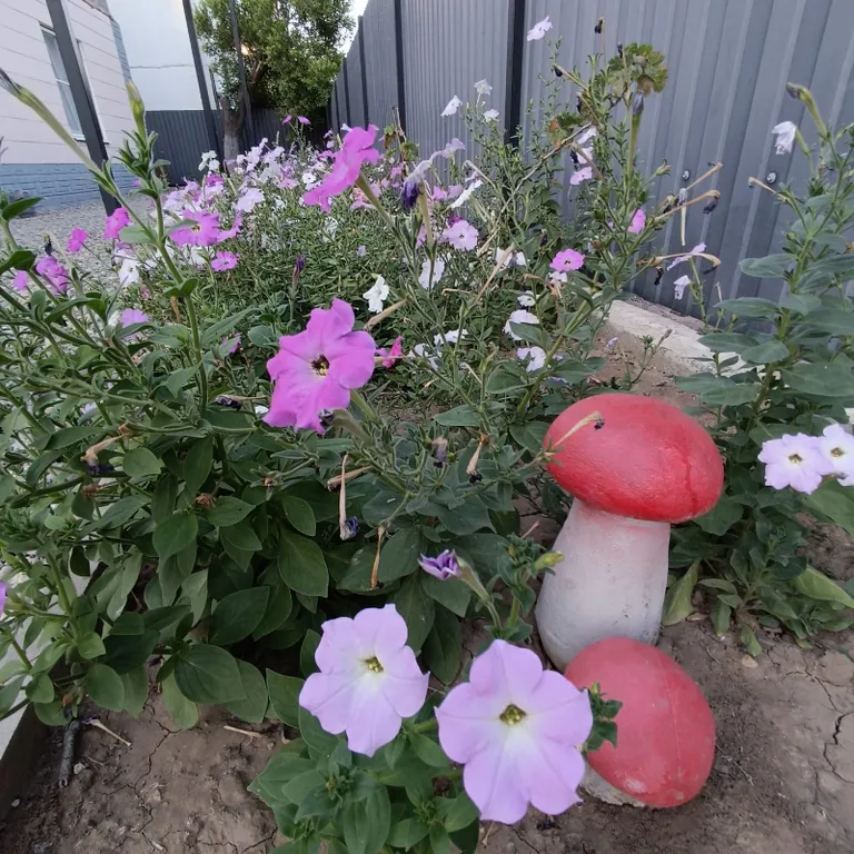 Квартира Комната — Кучугуры