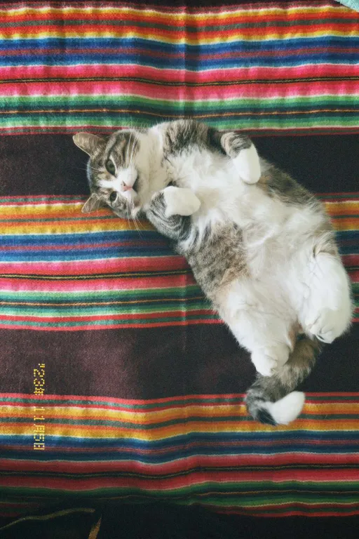 Агроусадьба в хуторской тиши с камином, сеновалом и сном на пчелах