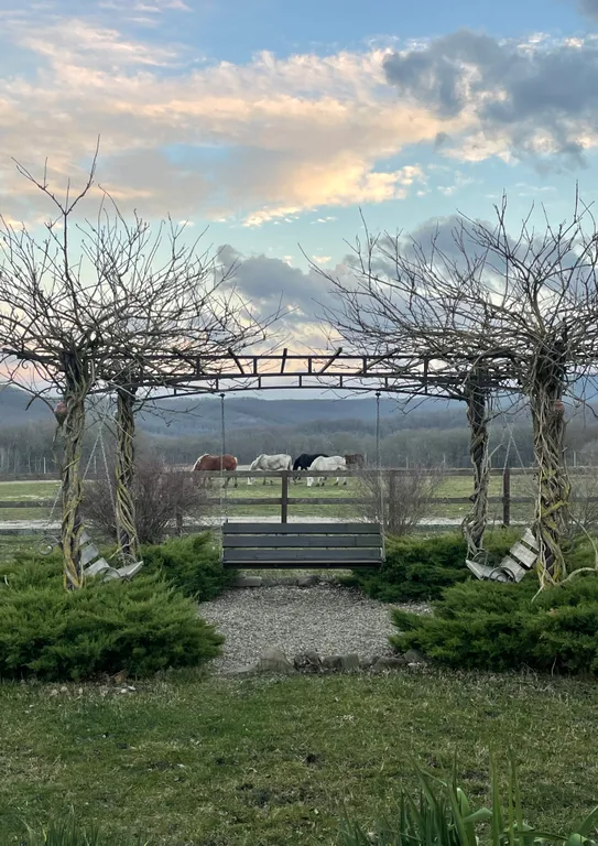 Уютный дом у горной реки