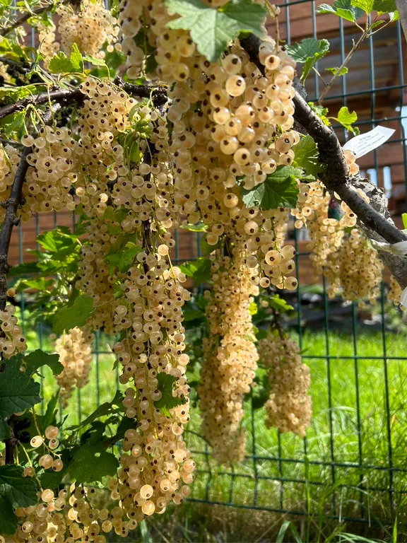 Таунхаус на побережье