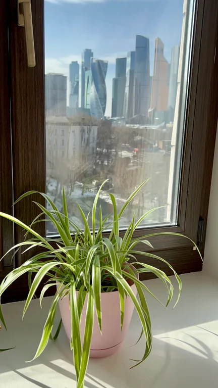 Квартира 3-комнатная квартира рядом с Экспо центр и метро Киевская — Москва