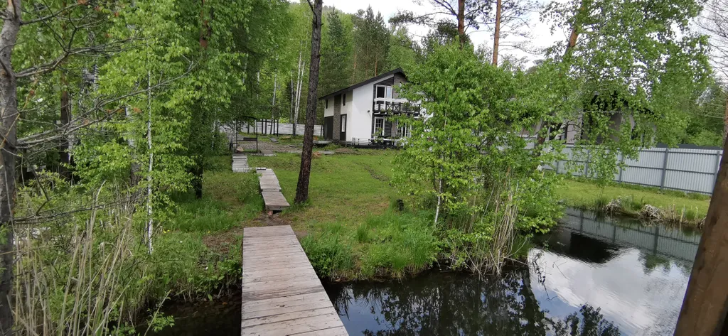 Дом с котом