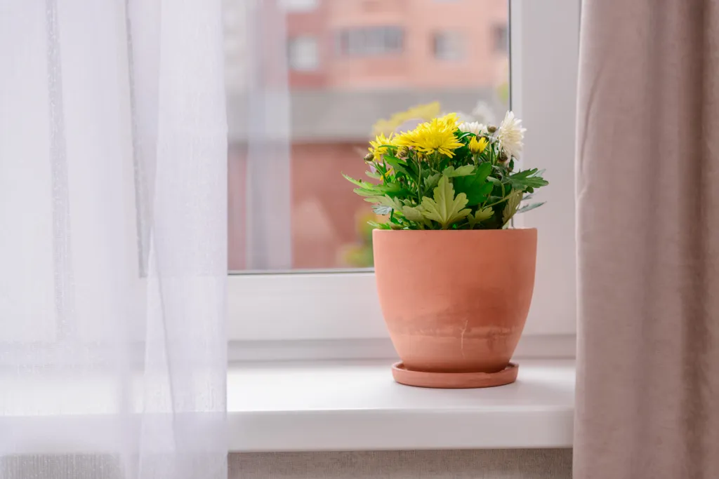 Студия 1 VV Apart у метро Котельники на Строителей 1