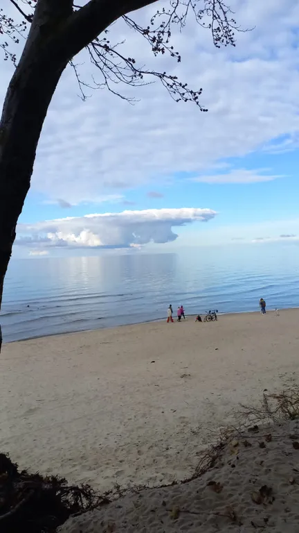 Квартира Апартаменты на берегу Балтийского моря — Пионерский