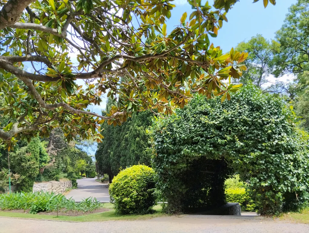 Самое уютное местечко на юбк ялта