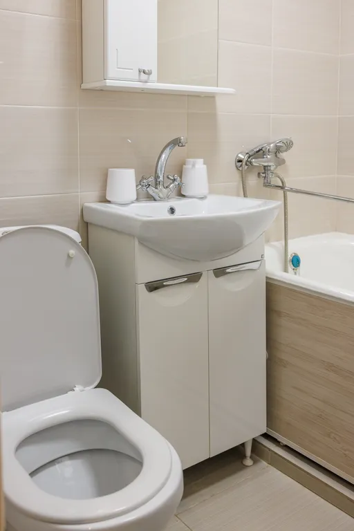 Квартира рядом с Центральным Парком