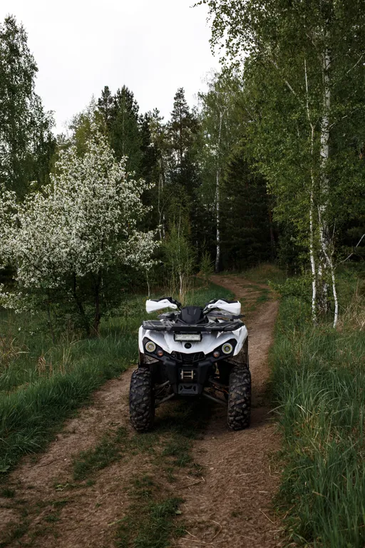 Загородный клуб Природа