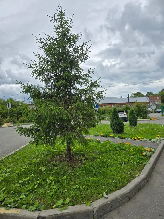 Апартаменты в центре города