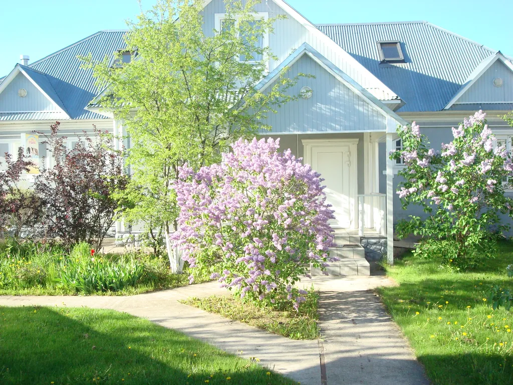 Коттедж Уютный пяти-спальный коттедж — Борзые