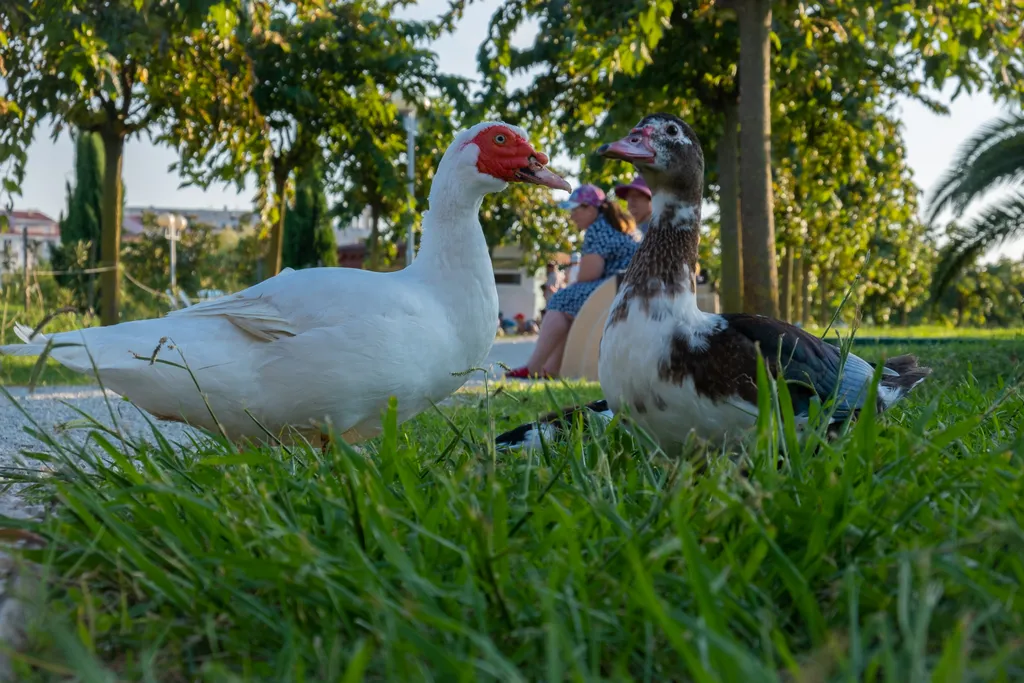 Арт Лайт Сити апартамент Лондон