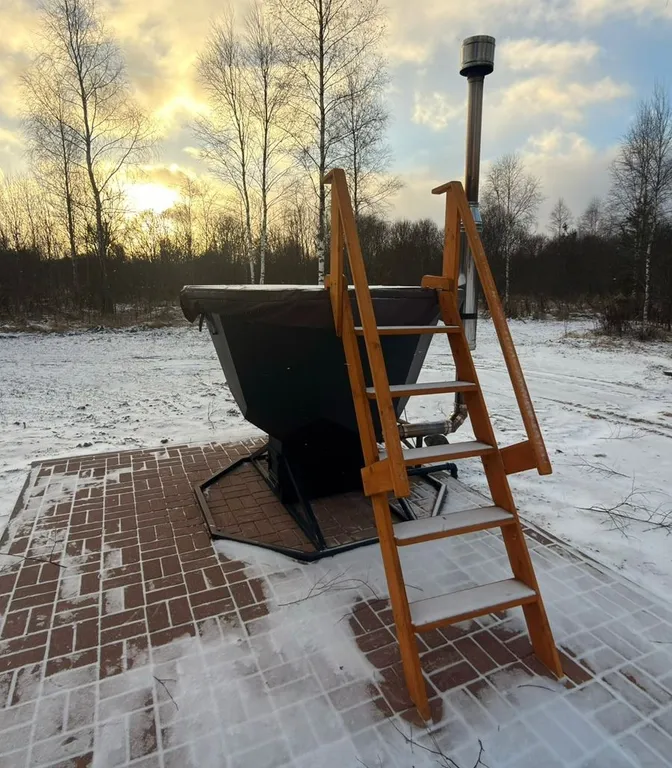 Коттедж Дом в лесу с красивым лесным видом — Еремино