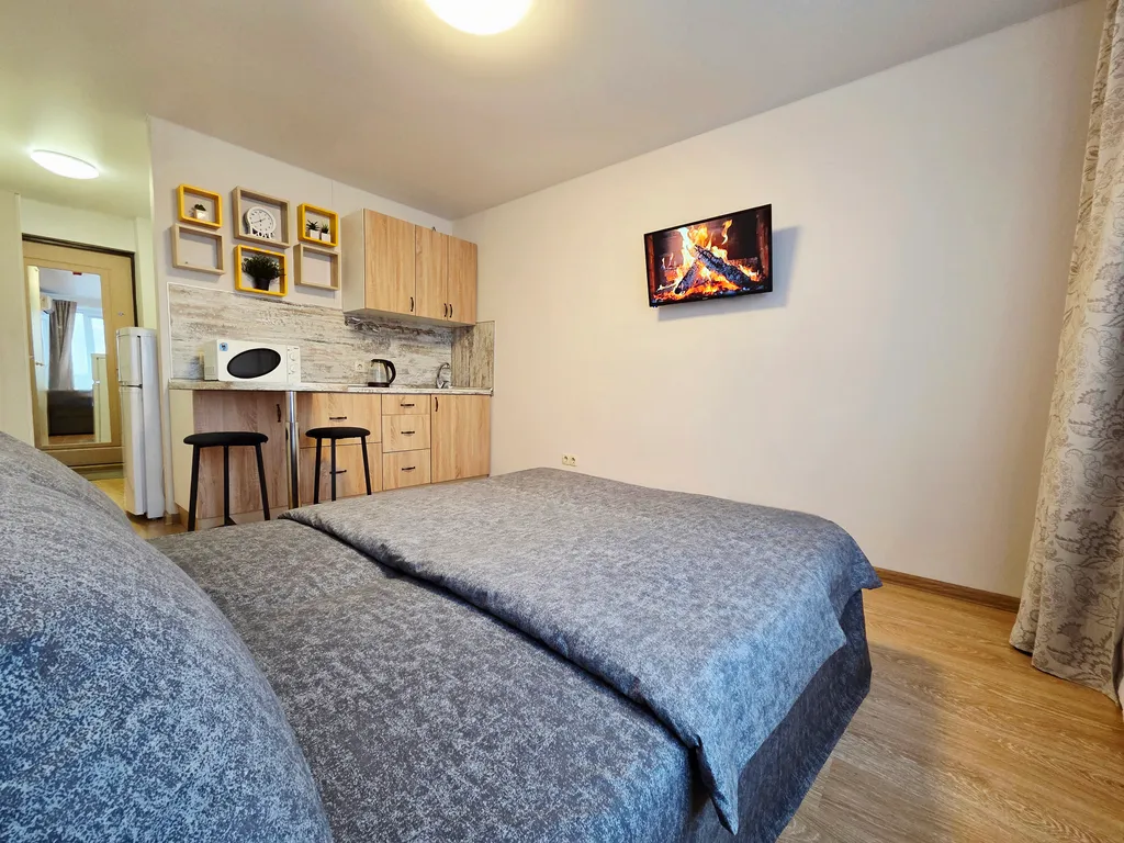 Квартира Квартира Уютная студия с видом на парк Лосиный остров — Москва