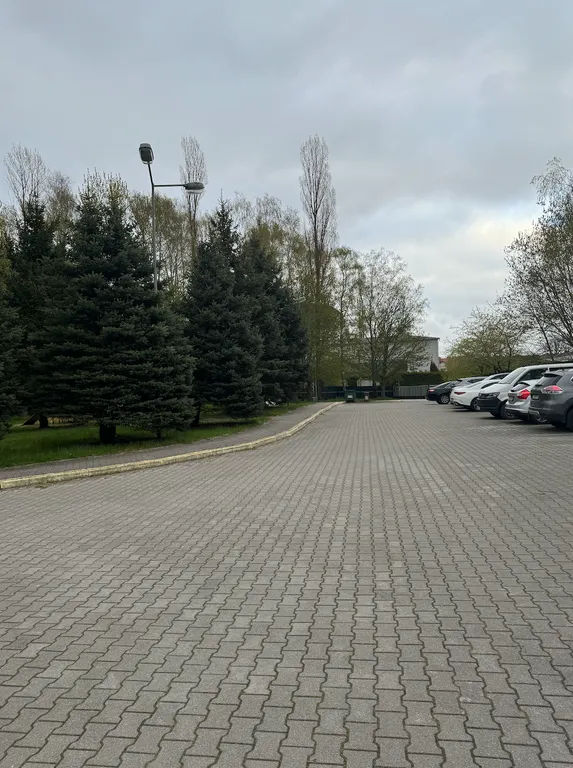 Квартира Уютная квартира в самом сердце Светлогорска — Светлогорск