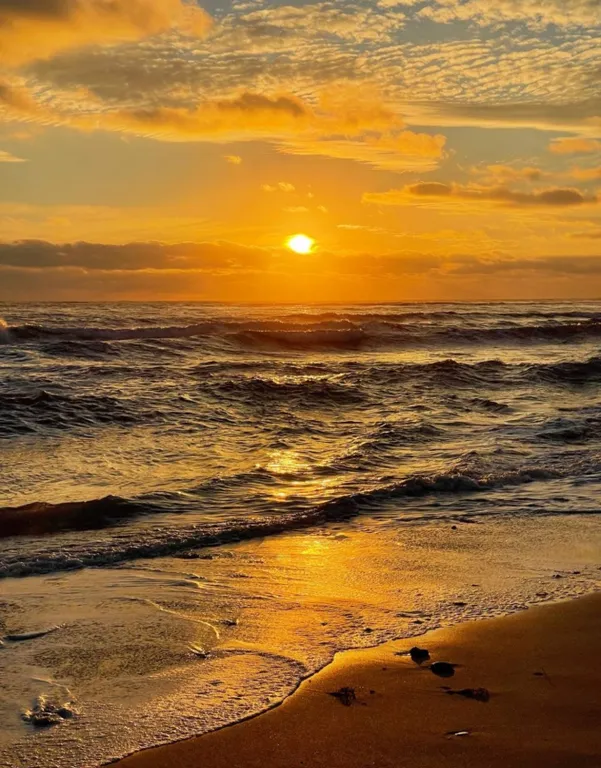 Трехместный номер