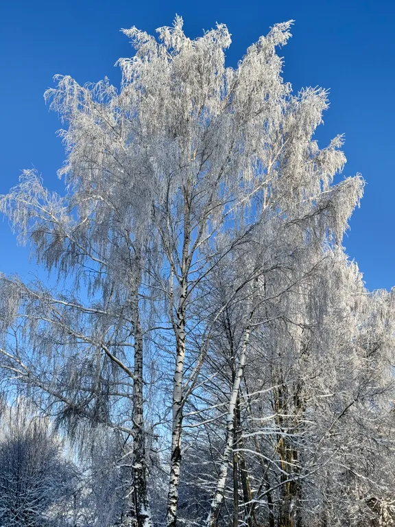 Домик в деревне