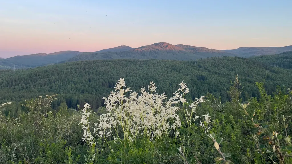 Теремок в горах бревенчатый дом и баня