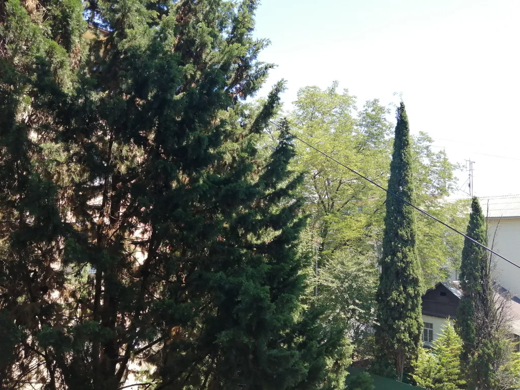 Квартира Квартира Студия в центре Адлера — Адлер