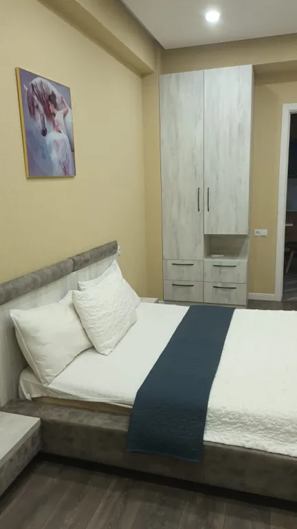 Комфортная квартира с балконом в центре Тбилиси