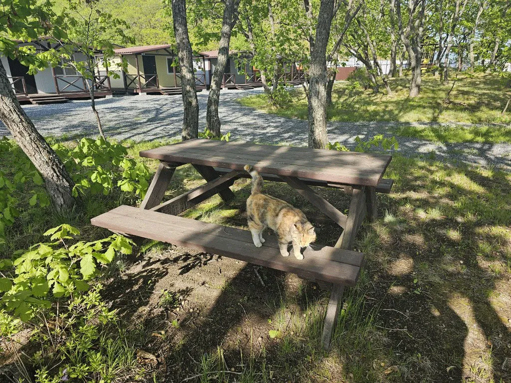 Коттедж 1-комнатный Дом — Партизанск
