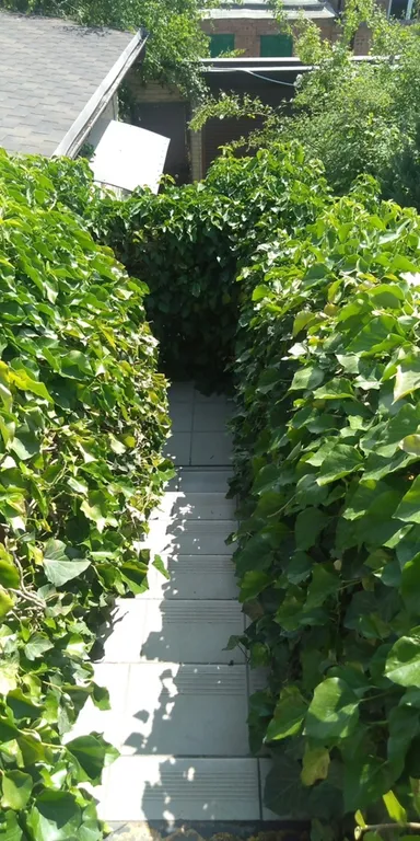 Уютное жилье недалеко от моря