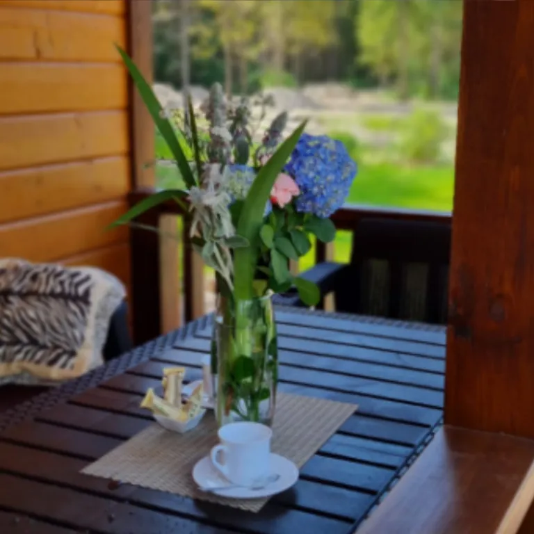 Дом на берегу