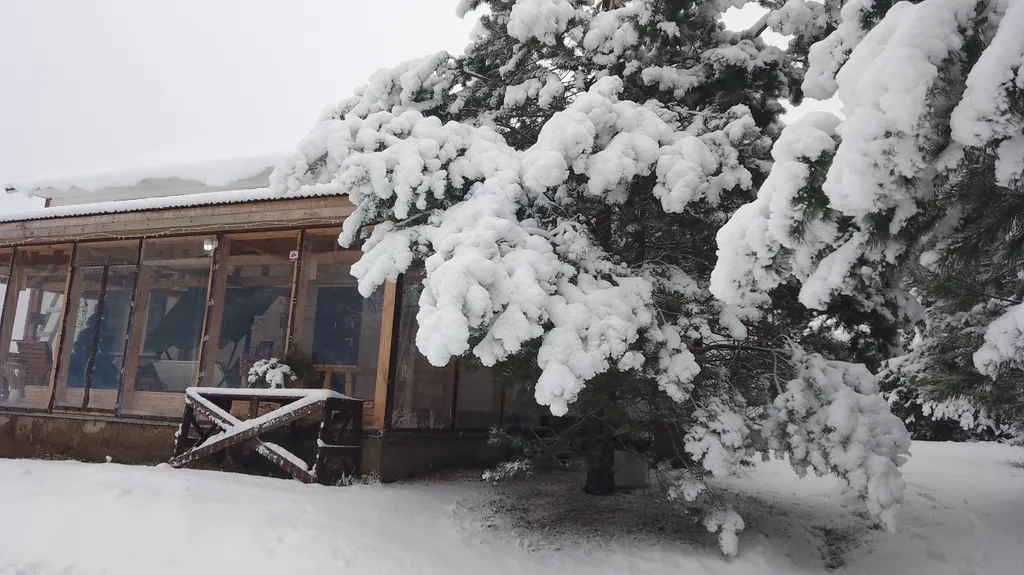 Эко Таунхаус Хитрый Лис Парк