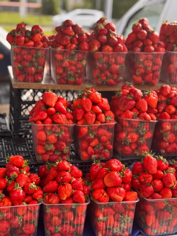 Трехкомнатная, уютная квартира