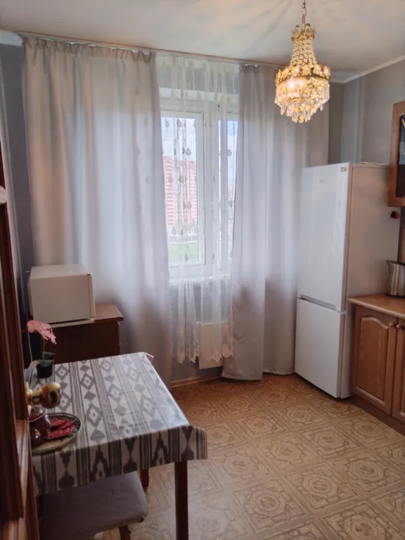 Просторная квартира в центральной части города, возле соснового парка