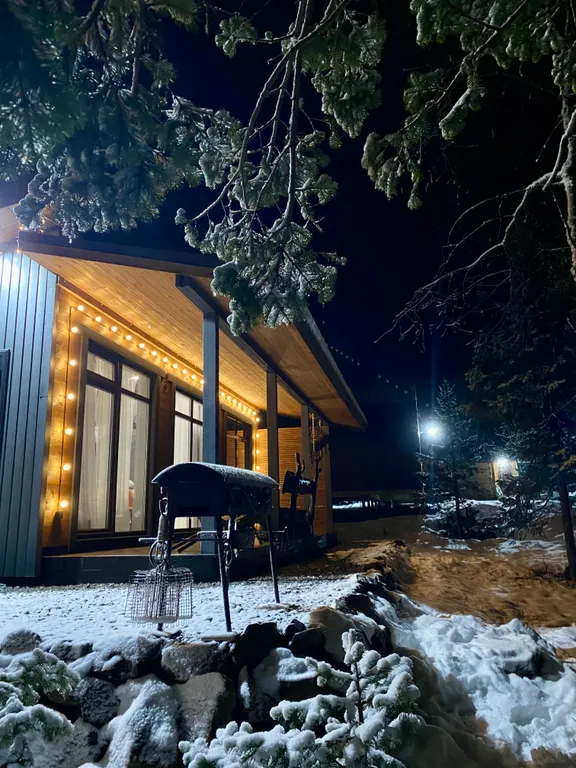 Дом с видом на лес