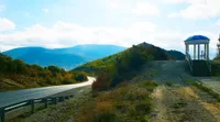 Алена