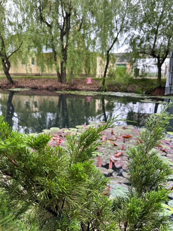 Коттедж Дом с баней, барбекю зоной и большой беседкой — Новый Городок