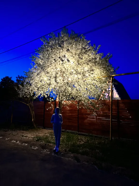 Треугольный дом A-фрейм с панорамными окнами Космос