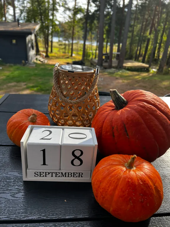 Стильный дом на берегу Ладожского озера с панорамным видом