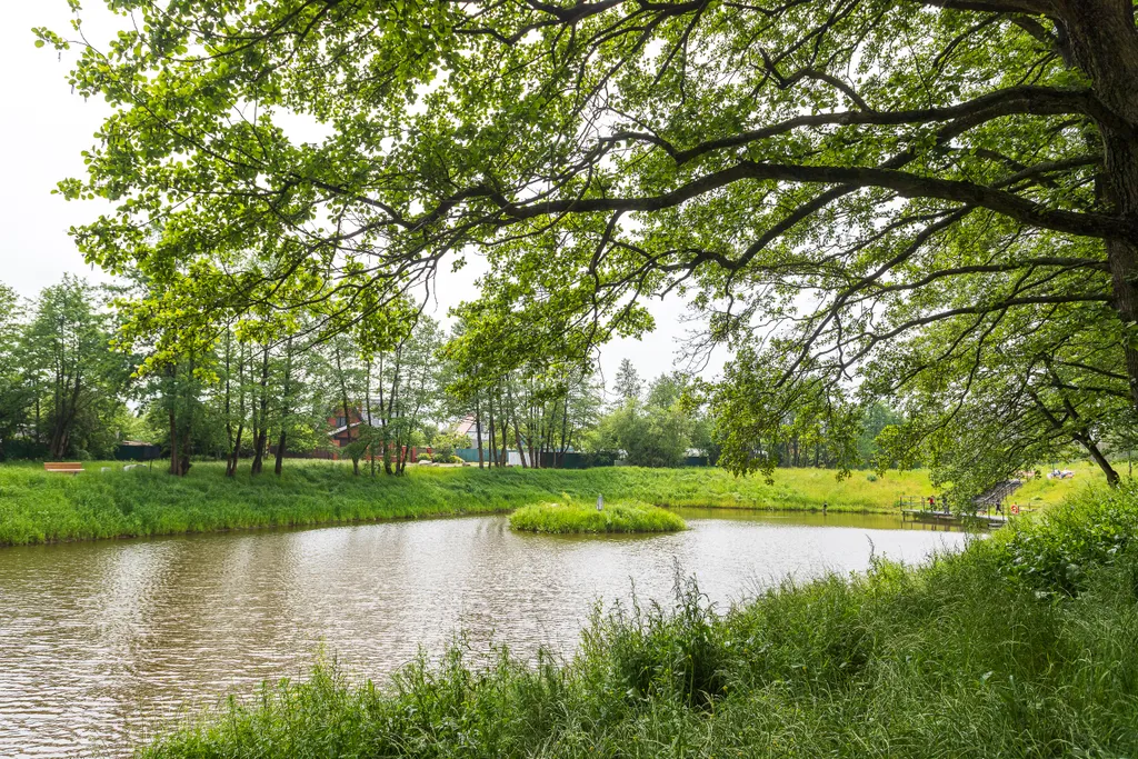 Квартира Уютная квартира на побережье — Пионерский