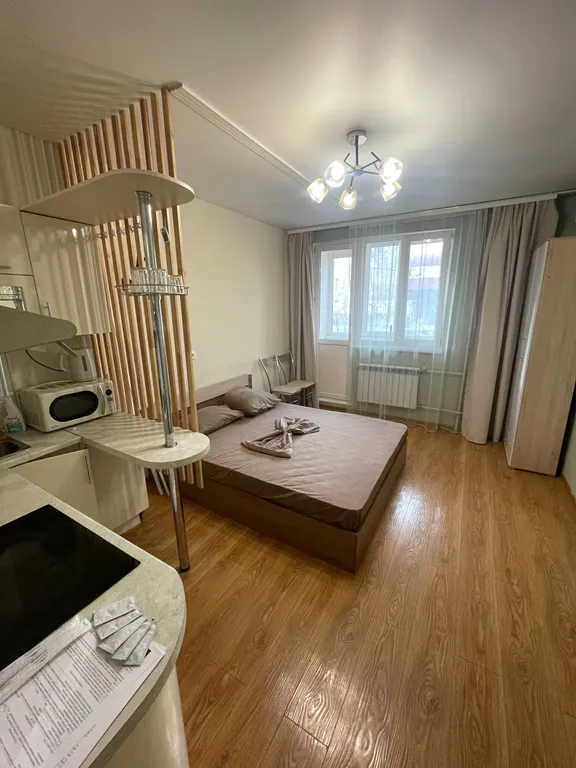 Уютна студия в Спутнике