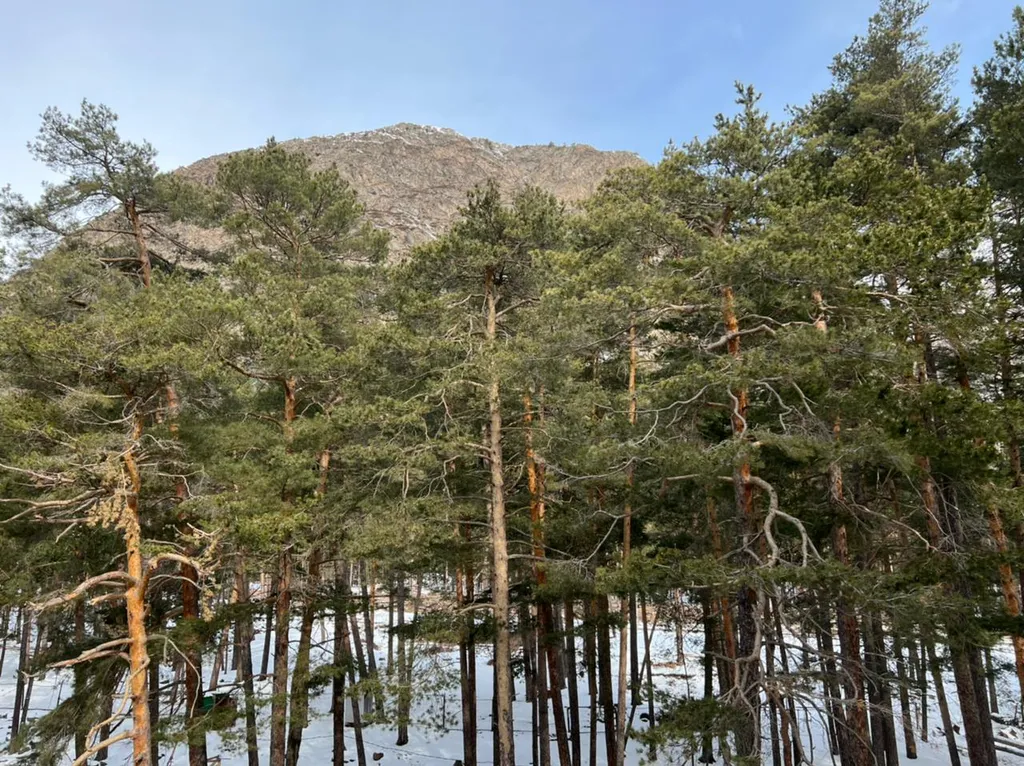 Уютная квартира в Приэльбрусье