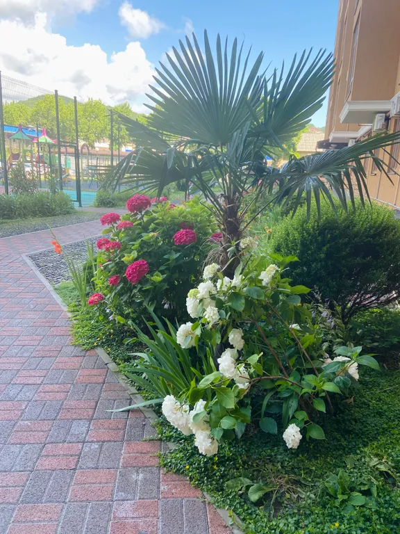 Квартира Новая светлая квартира-студия в Сочи недалеко от моря — Лазаревское