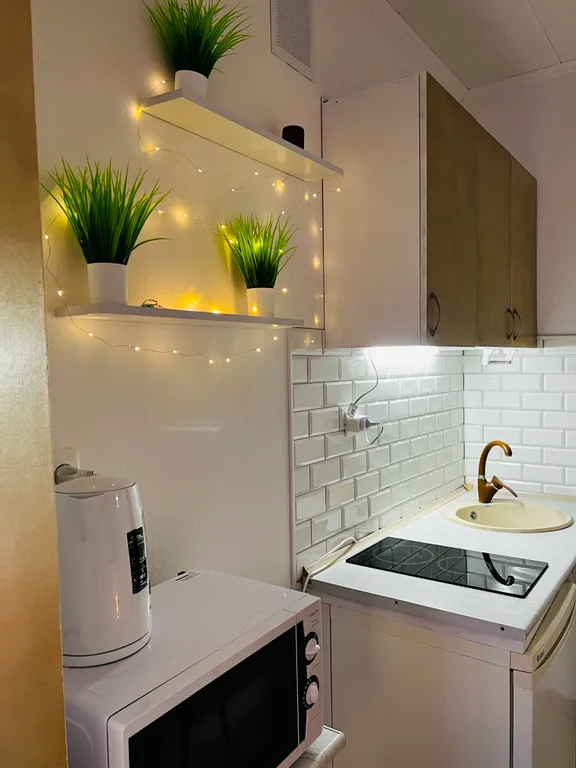 Квартира Квартира Уютная однушка — Светлогорск