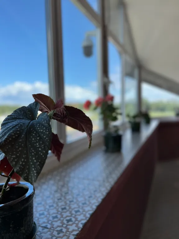 Квартира Трёхместные апартаменты в Avia park in hotel — Исаково