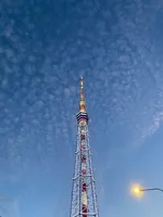 Роман Чубко