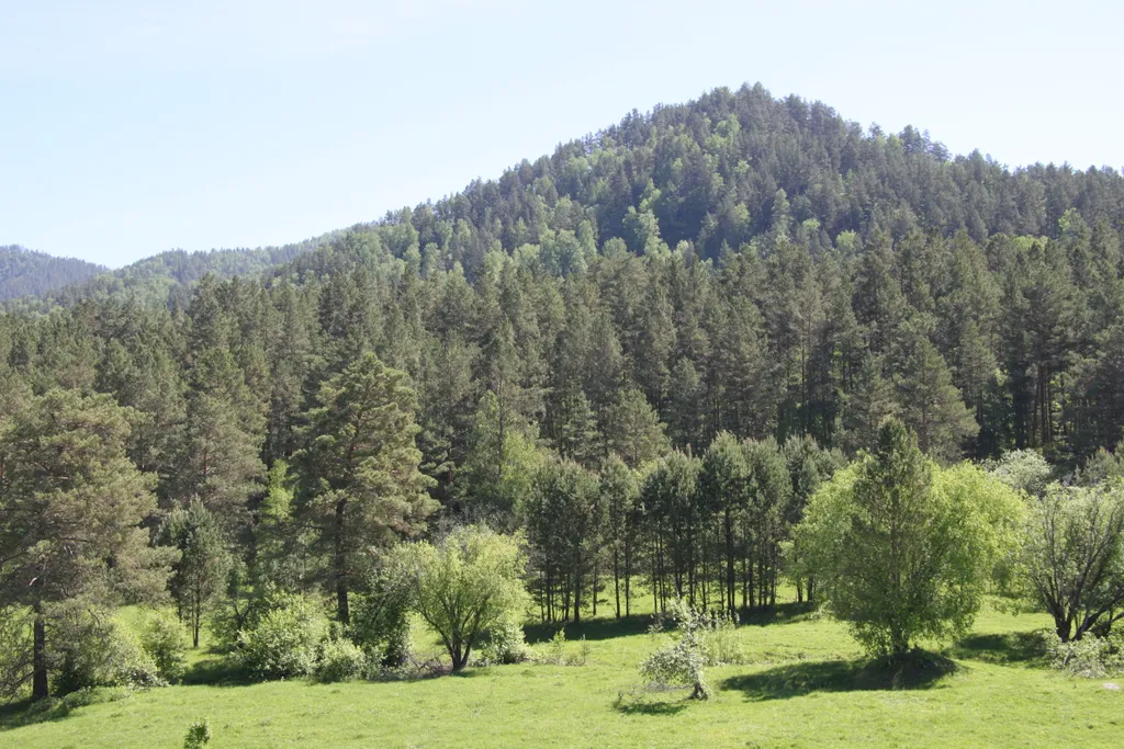 1-комнатный Дом