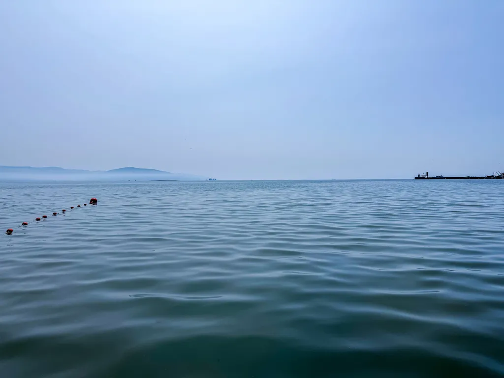 Artfully Nest | Cтильный номер