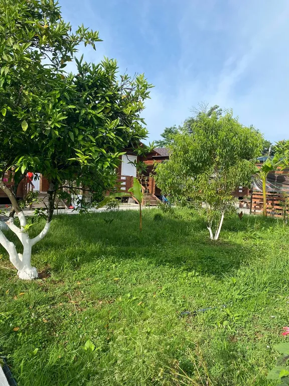 Коттедж Коттедж Уютные бунгало на берегу моря — Сухум