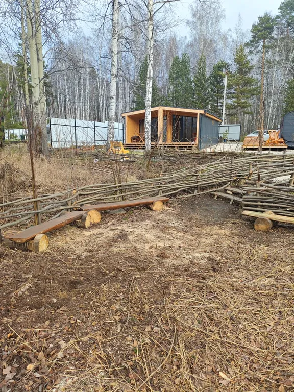 Дворик леса