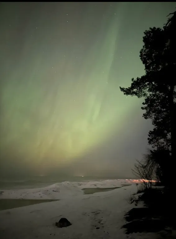 Комфортная квартира на первой линии Финского залива