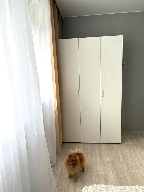 Новые апартаменты в парке в одной минуте от озера Сенеж